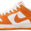 Zoom Dunk Low Pro SB  Summit White  854866-011