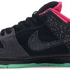 Premier x Dunk High SB TRD  Win Some, Lose Some  881758-217