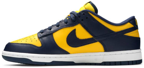 Dunk Low  Michigan  2021 DD1391-700