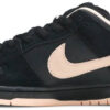 Dunk Low SB  Be True  DR4876-100