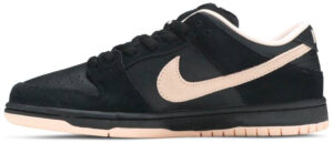 Dunk Low SB Black Coral BQ6817-003