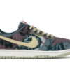 Dunk Low  Coast  DD1503-100