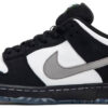 Jeff Staple x Dunk Low Pro SB  Black Pigeon  Reed Space Exclusive 883232-008