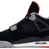 Air Jordan 4 Retro NRG  Raptors  AQ3816-065