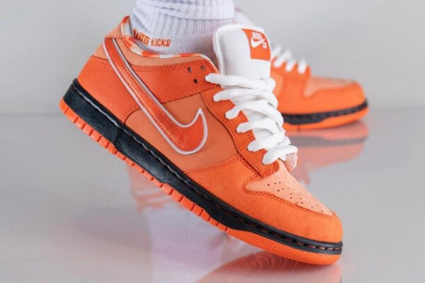 Concepts x Dunk Low SB  Orange Lobster  FD8776-800