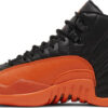 Air Jordan 12 Retro  Cherry  2023 CT8013-116