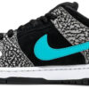 Dunk Low Pro SB  ACG Terra  BQ6817-008