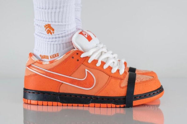 Concepts x Dunk Low SB  Orange Lobster  FD8776-800