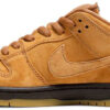 Dunk Low Pro SB  Trail  304292-102