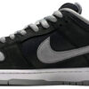 Dunk Low SB  Mummy  DM0774-111