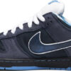 Dunk Low Premium Sb  Brooklyn Projects  313170-771