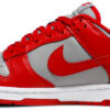 Dunk Low SP Retro  Veneer  2020 DA1469-200