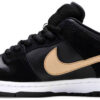 Dunk Low SB Premium  Newcastle Brown Ale  313170-741