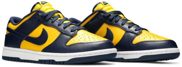 Dunk Low  Michigan  2021 DD1391-700