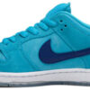 Dunk Low SB  Camcorder  CV1659-001