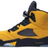 Air Jordan 5 Retro T23  Tokyo  454783-701