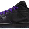 Florida A M University x Dunk Low  Rattlers  DR6188-800