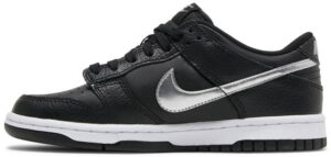 Dunk Low Pro SB Black Silver DC9560-001