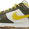 Dunk Low Premium  Cider  DH0601-001